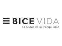 Bice-Vida_2x